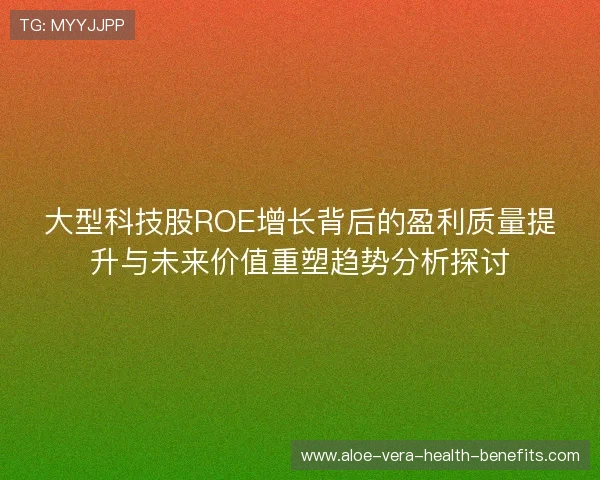 大型科技股ROE增长背后的盈利质量提升与未来价值重塑趋势分析探讨