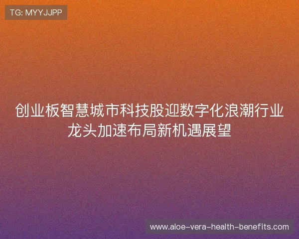 创业板智慧城市科技股迎数字化浪潮行业龙头加速布局新机遇展望